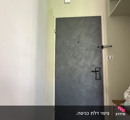 דלת מתכת אפורה עם ידית שחורה בקיר בהיר